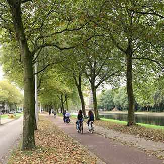 Amsterdam bike path - WestmountMag.ca