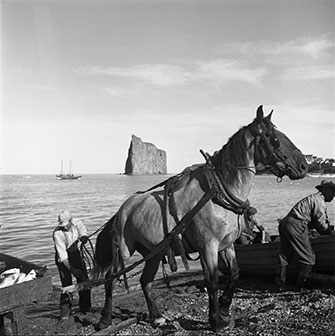 fisherman and horse Percé - WestmountMag.ca