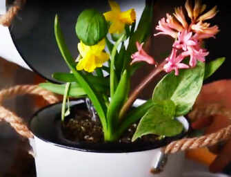 Discover Gardening in <br>Small Spaces with Graham