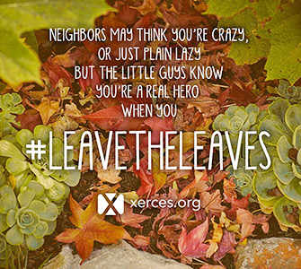 Leave the Leaves! promo 