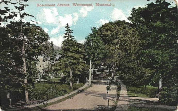 Postcard Rosemount Avenue